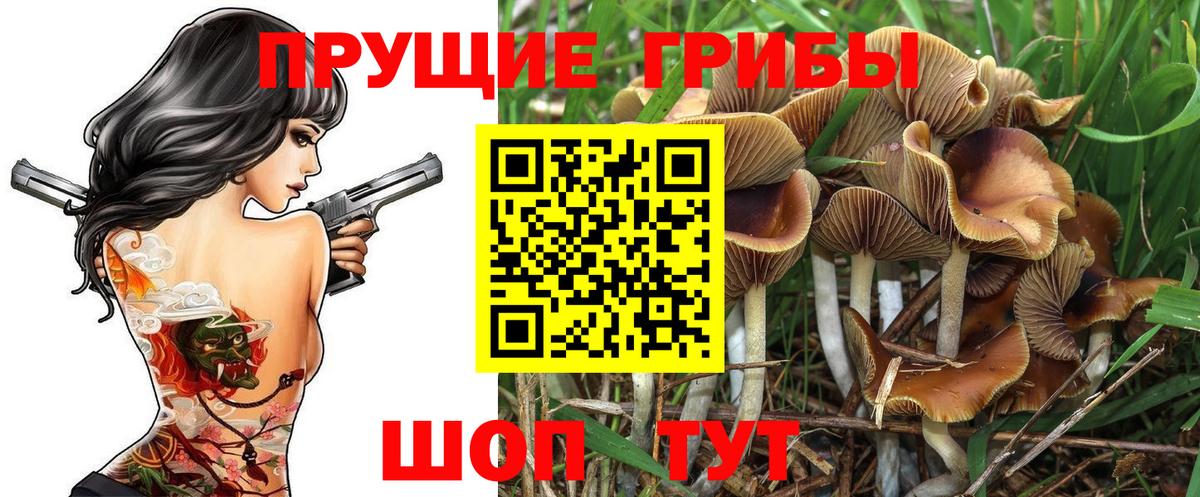 Псилоцибиновые грибы ЛСД  Вход с VPN  Бугуруслан 